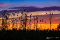Heartdance-T4-144_IMG_8125_web
